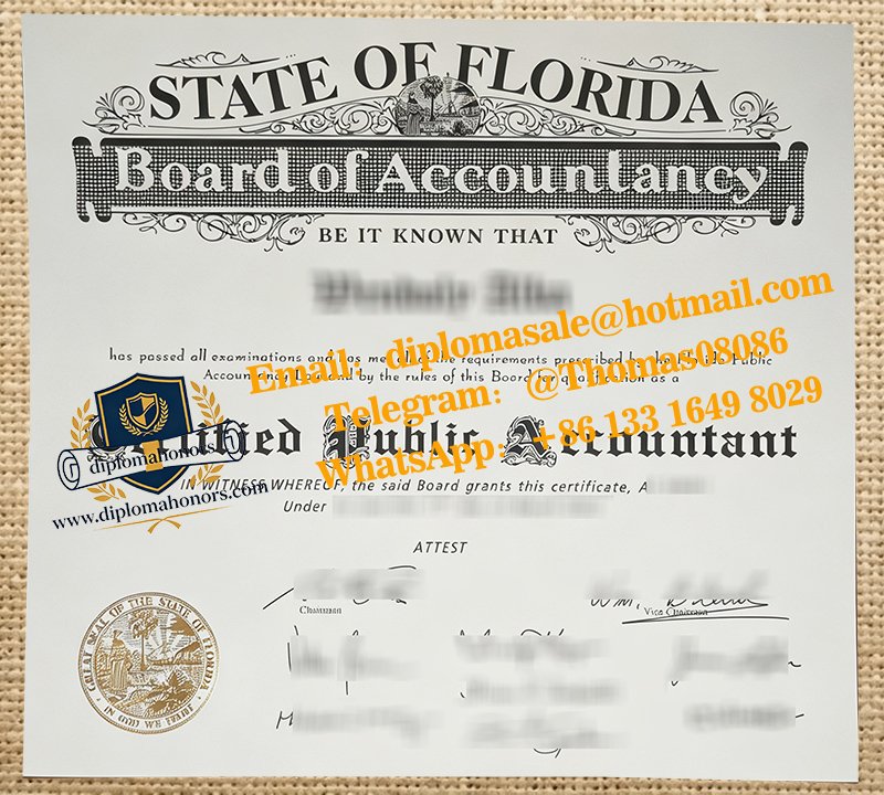 Florida CPA certificate