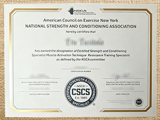 NSCA CSCS certification
