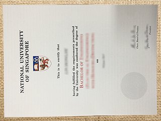 National University of Singapore diploma