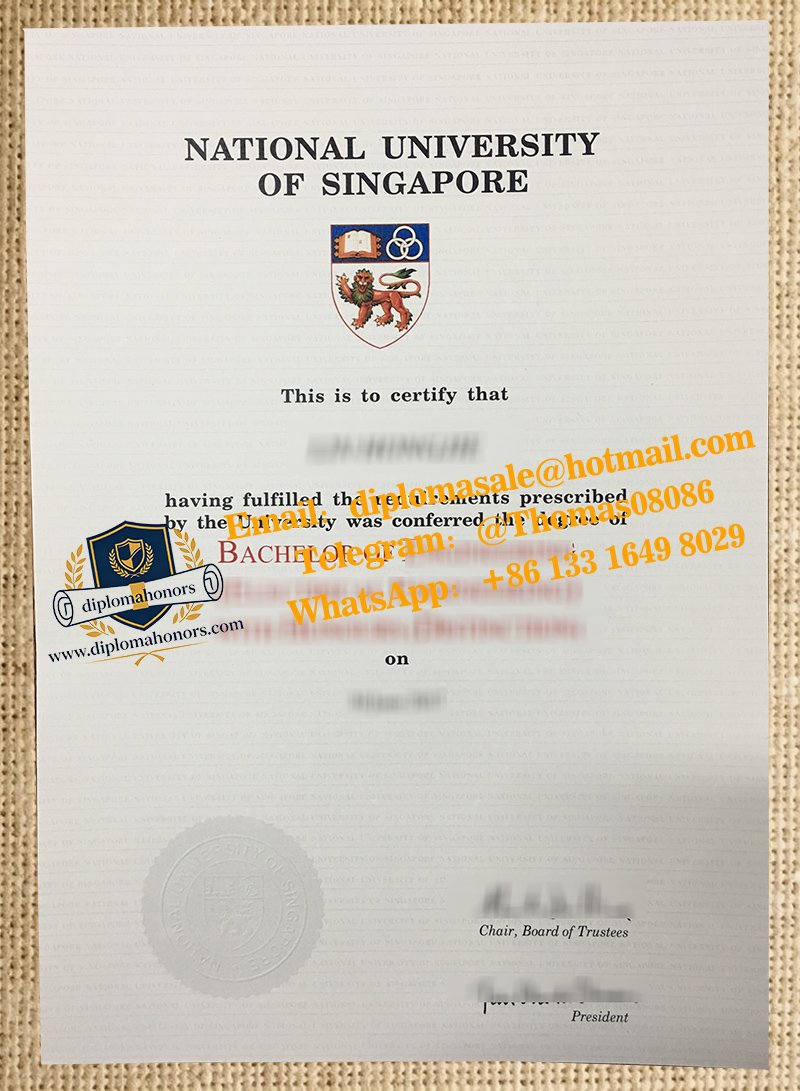 National University of Singapore degree