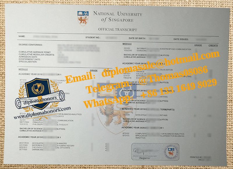 National University of Singapore transcript