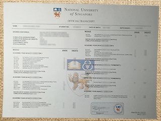 NUS transcript