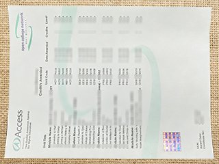 Access to Higher Education transcript