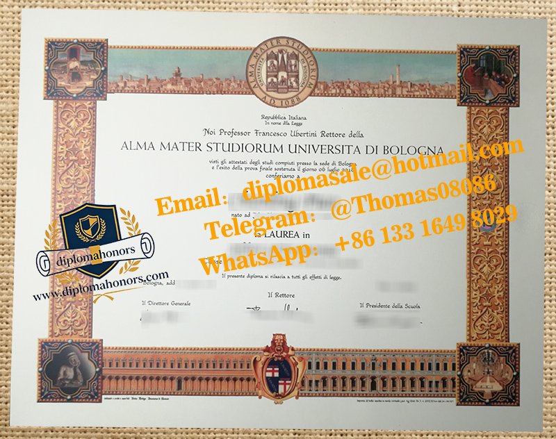 Università di Bologna diploma