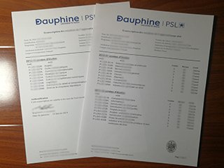 Paris Dauphine University transcript