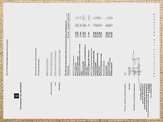 UvA transcript