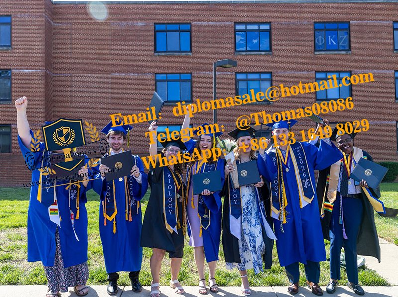University degree
