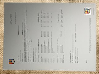 University of Birmingham academic transcript