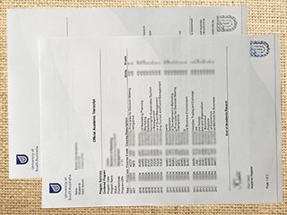 UniSA transcript
