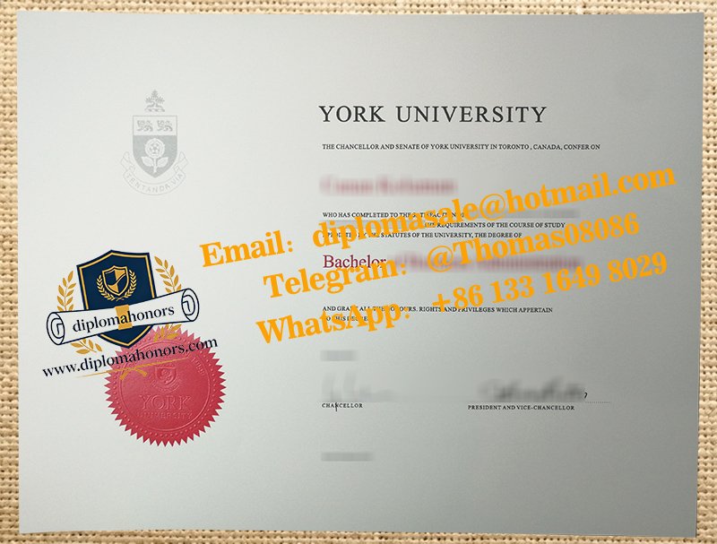 York University degree