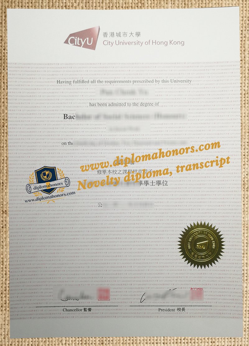 City University of Hong Kong degree