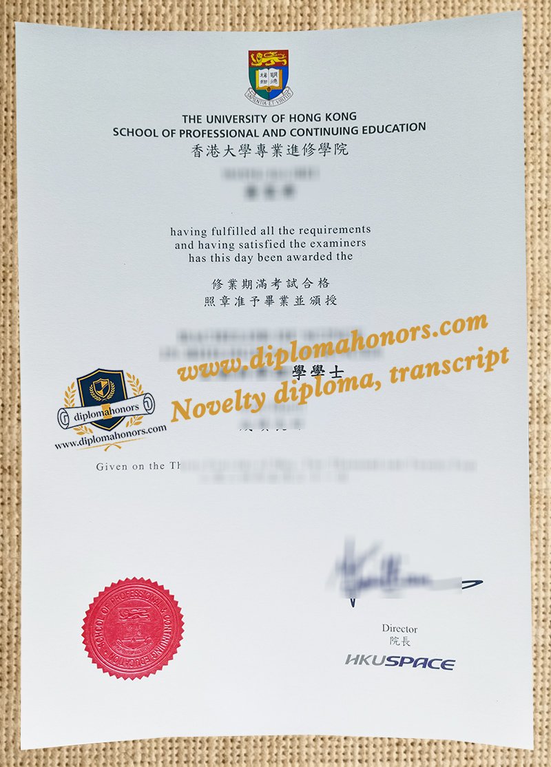 HKU SPACE degree