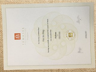 Temasek Polytechnic degree